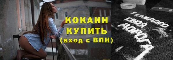 мдпв Гатчина