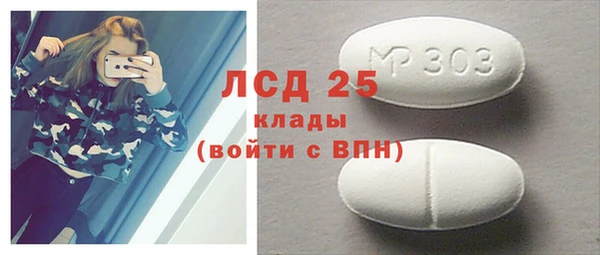 мдпв Гатчина