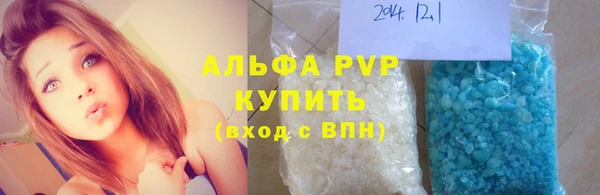 мдпв Гатчина