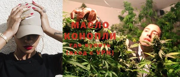 мдпв Гатчина