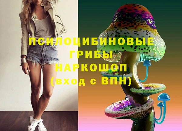 гашик Галич