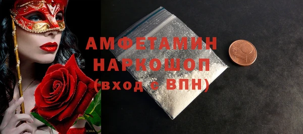мдпв Гатчина